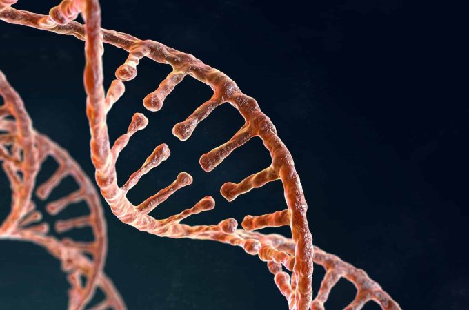 Spiral strand of DNA on the dark background